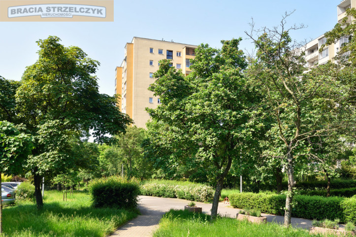 Mieszkanie Wynajem  Mokotów Korczyńska 11